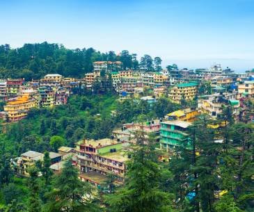 06 Days Dharamshala Dalhousie Khajjiar Tour From Amritsar
